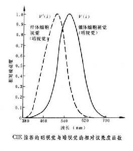 形成视觉在哪(形成视觉影像的地方在哪)