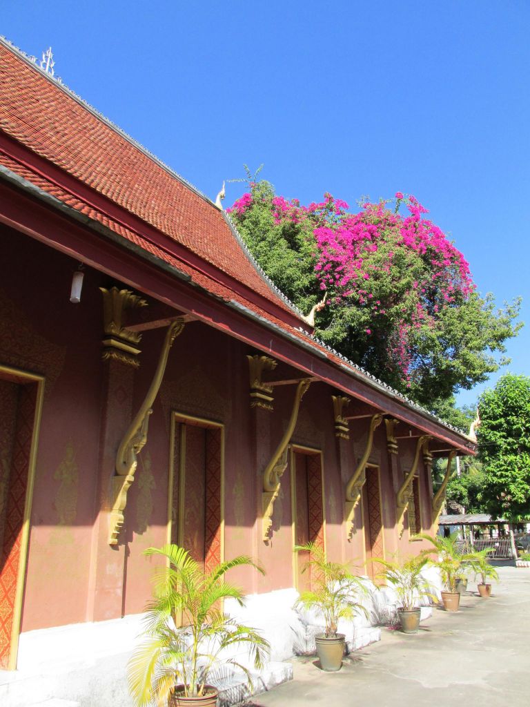 神祈庙在哪(衡阳灵官庙村七彩滑道)