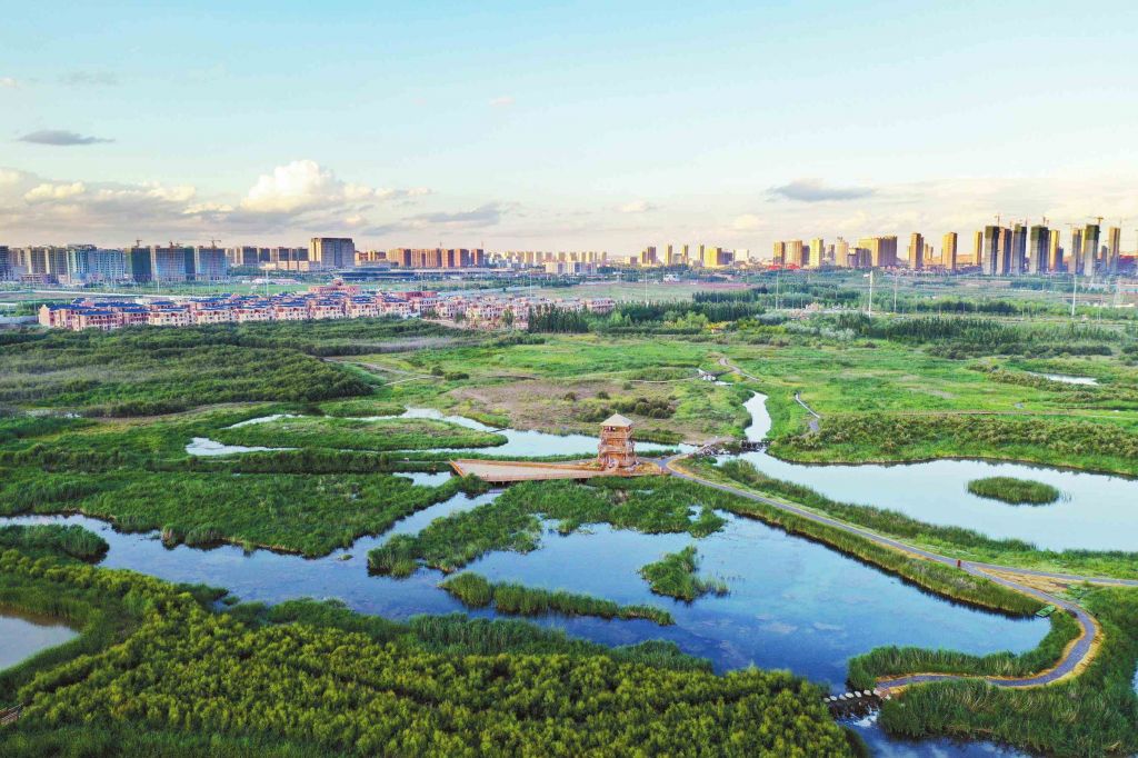 兰州新区湿地公园在哪(兰州新区秦王川湿地公园)