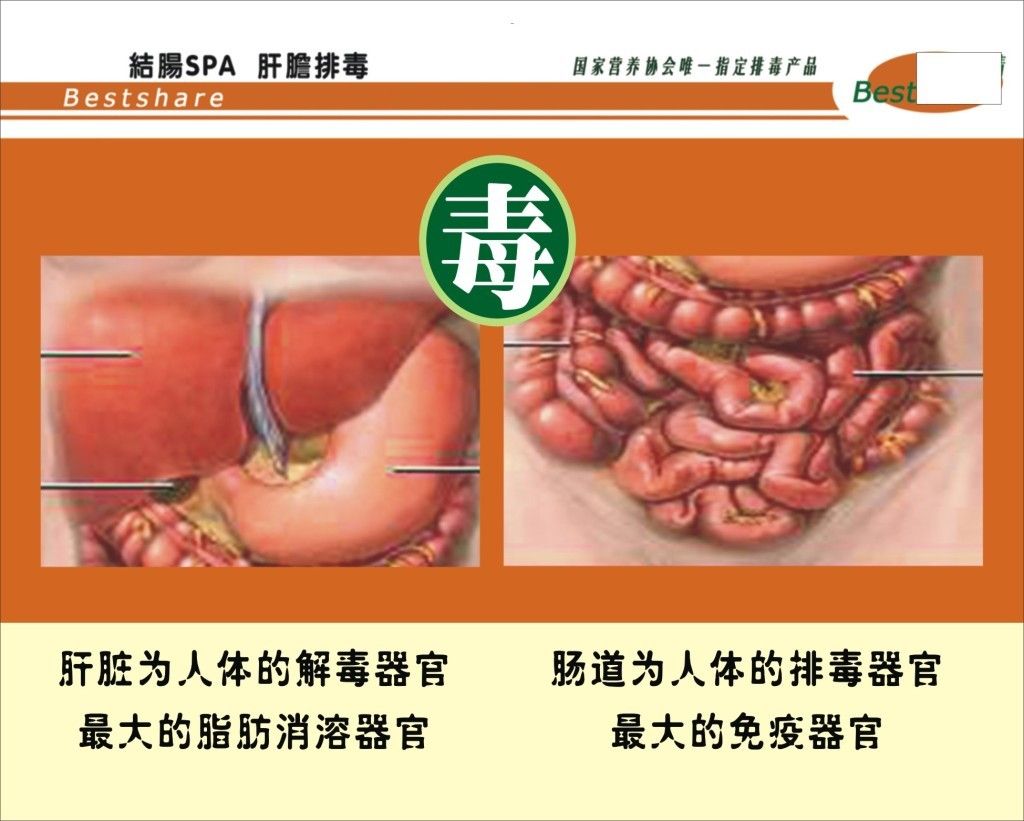 肝区结肠在哪(肝区结肠在哪里)