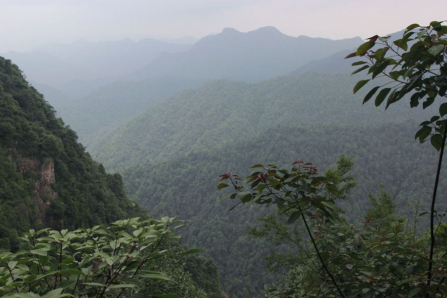 山百山在哪里(赣州三百山在哪里)