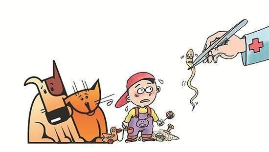 包含怎么化验宝宝肚子里是否有蛔虫的词条