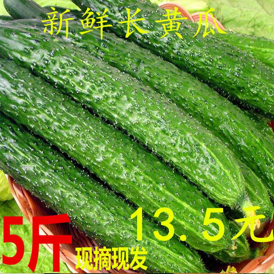 黄瓜有白点能生吃吗的简单介绍
