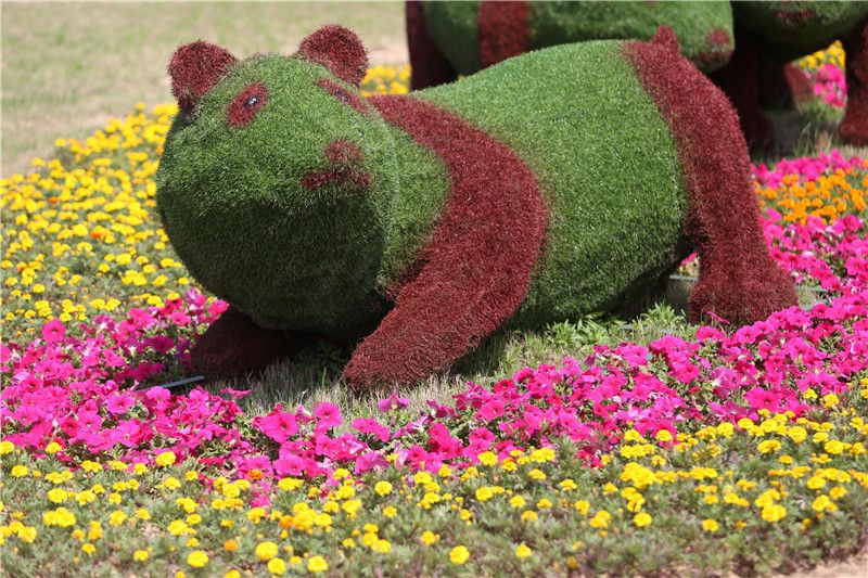 开封东郊花卉市场在哪(开封东郊花卉市场在哪里)