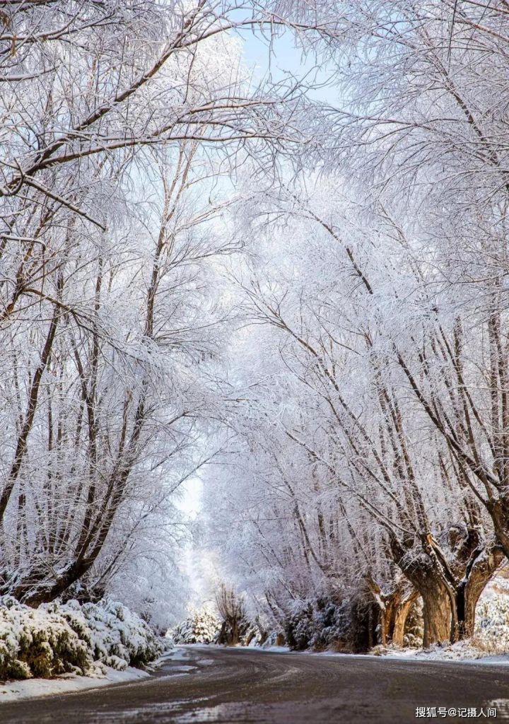 在哪能看雪中(在哪能看雪中悍刀行)