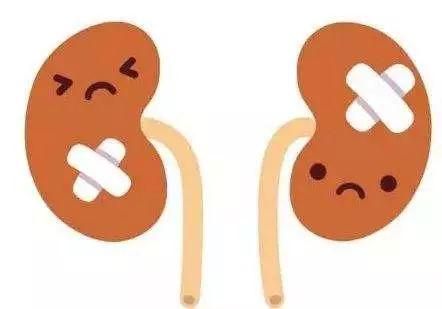 肾病综合症怎么治才能治好(慢性肾病综合症是怎么引起的)