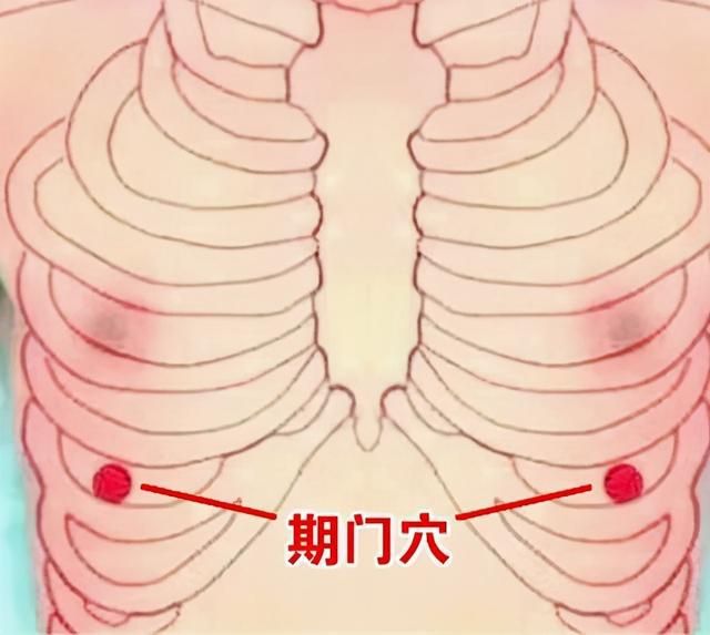 门穴在哪的简单介绍