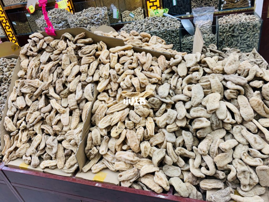 昆明药才市场在哪里(昆明最大的音响市场在哪里)