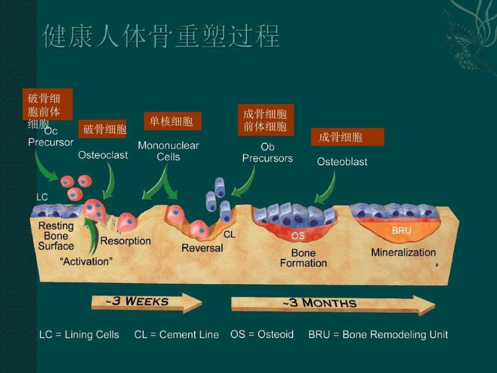 怀孕6个月做饭肚子疼的像抽筋一样的简单介绍