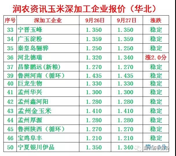 山东玉米价格最新消息(当前山东玉米价格最新消息)