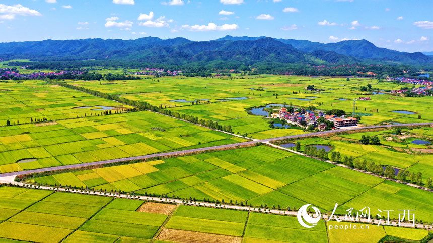 吉水在哪里属于哪个省(翰林多吉水在哪里属于哪个省)