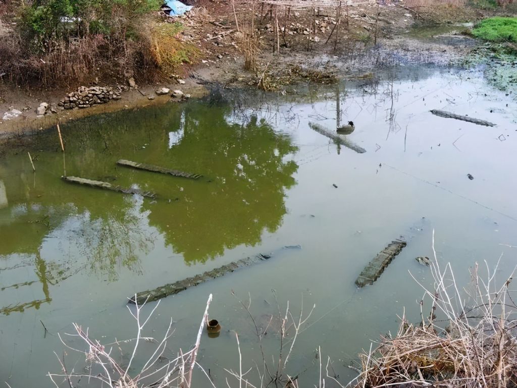 虾沟在哪里(大邑虾沟在哪里)