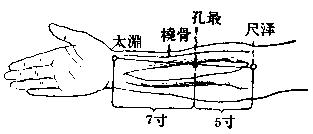 孔最穴在哪的简单介绍