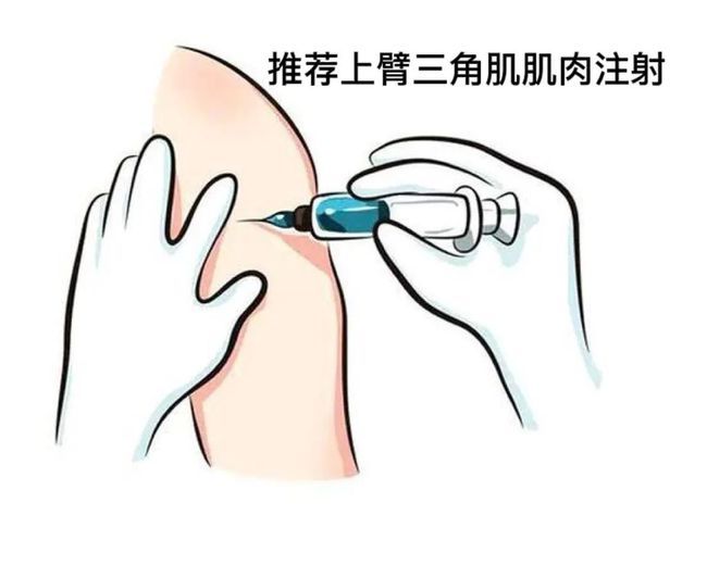 育苗在哪打(什么是育苗设施)