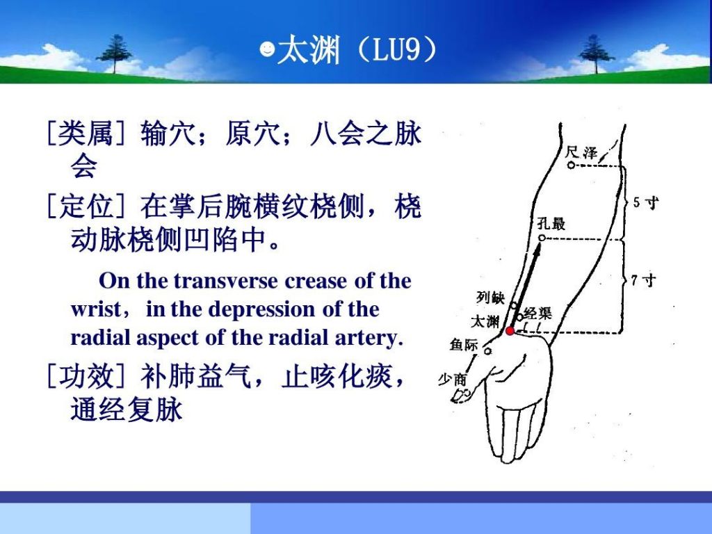 肺经在哪(拍打肺经的正确方向)