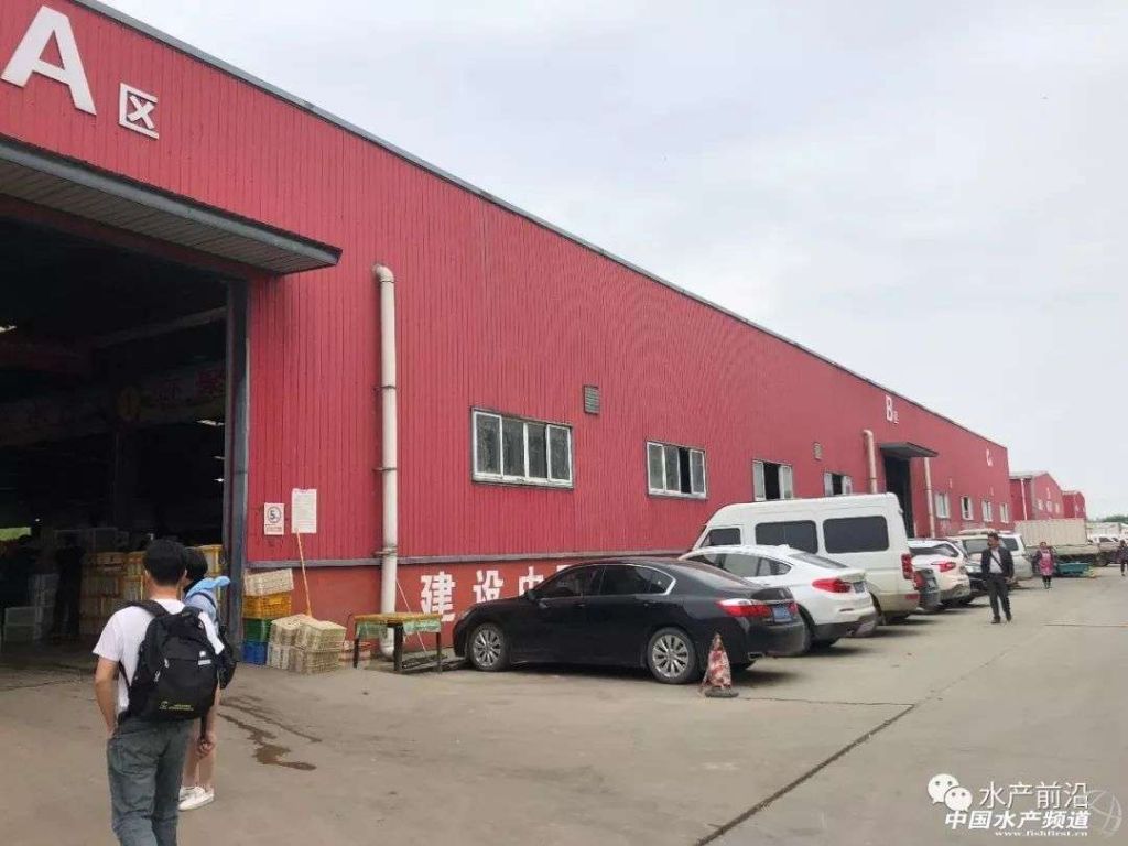 潜江宠物市场在哪里(潜江宠物店有卖狗的吗)
