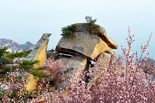 五云峰在哪(江西鄱阳油墩街名人)