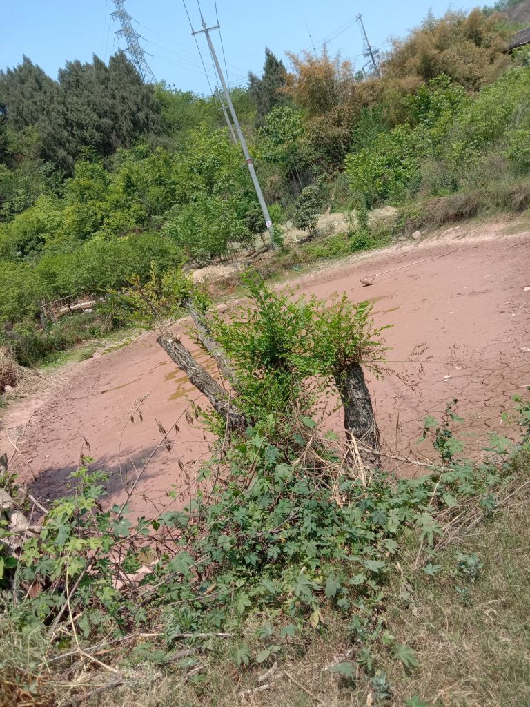 农村有水的地方没水的简单介绍