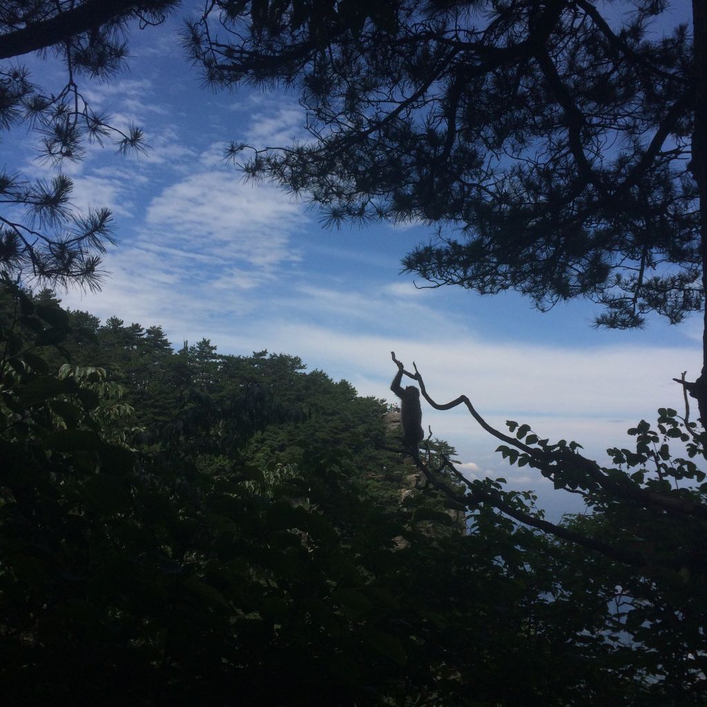 仙人梁在哪(大凉山仙人梁)