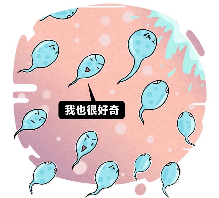 精子在哪里(精子在哪里储存)