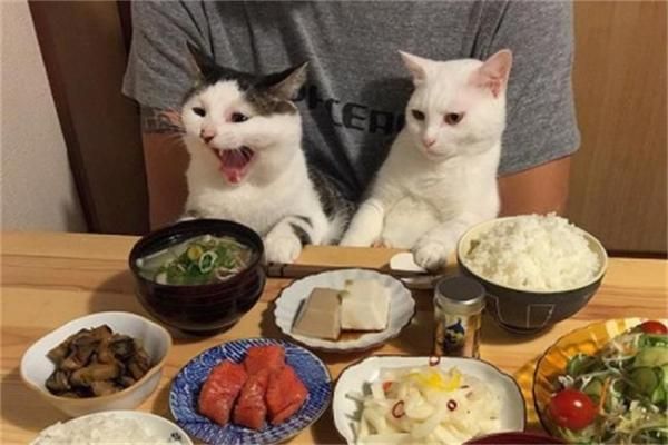 带孩子和朋友出去吃饭的说说的简单介绍