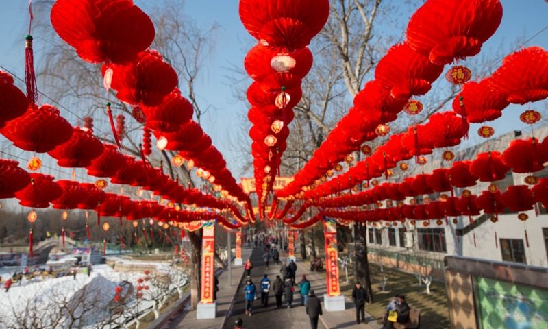 龙潭庙会在哪里(2020年龙潭湖庙会摊位)