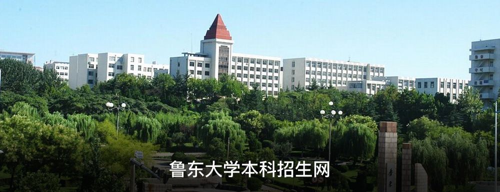 鲁东大学在哪个城市(鲁东大学2021录取分数线)