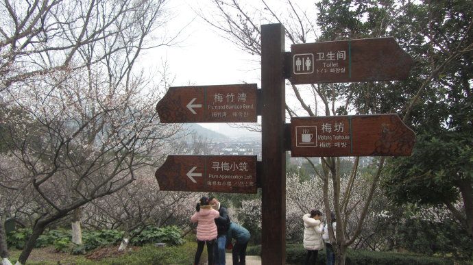 超山在哪里(浙江杭州超山)