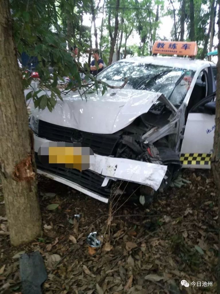 肇事车辆致使人死亡(保险100万撞死人赔多少)