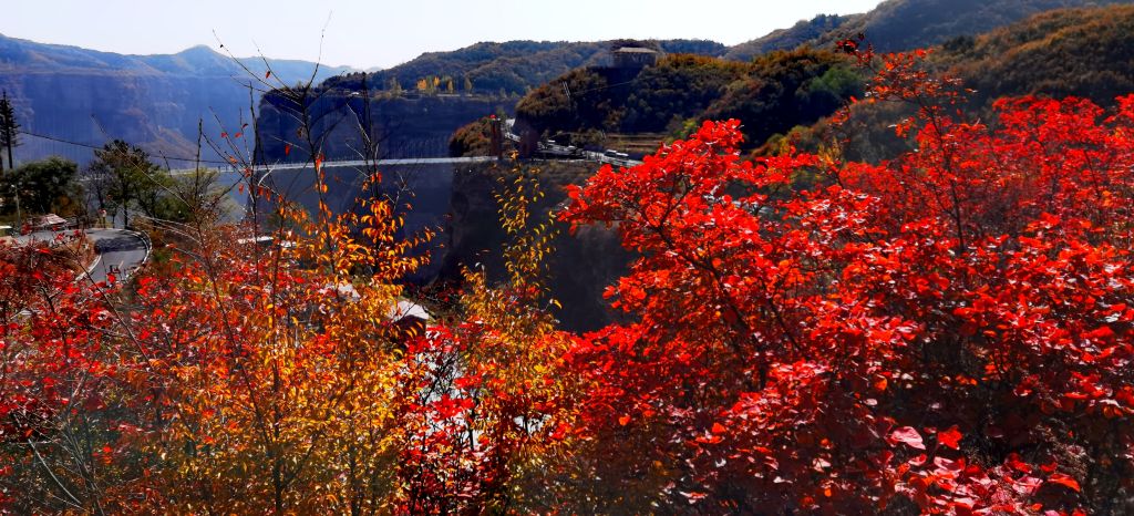 三亩园在哪(北京三亩园度假村)