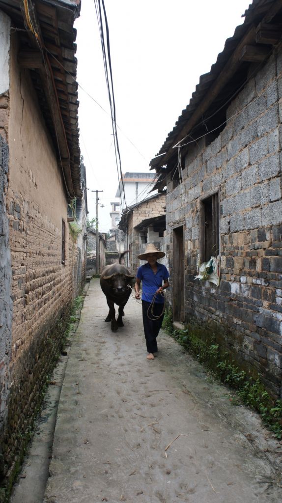 杨溪村在哪(乳源桂头镇杨溪村)