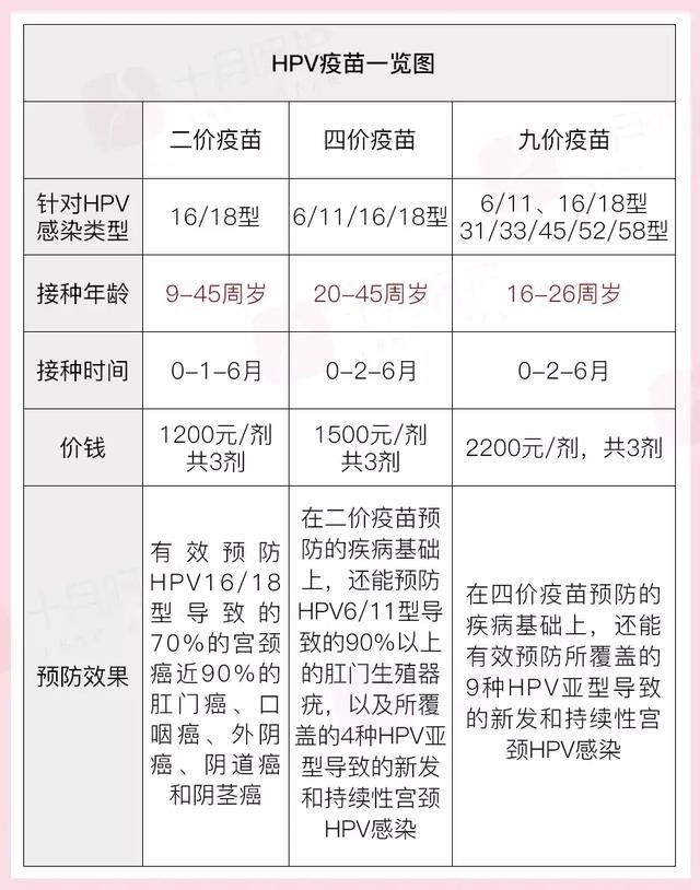 如何能查到打疫苗了(打了新冠疫苗怎么查记录)