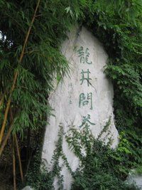 龙井村在哪里(龙井村龙井茶骗局)