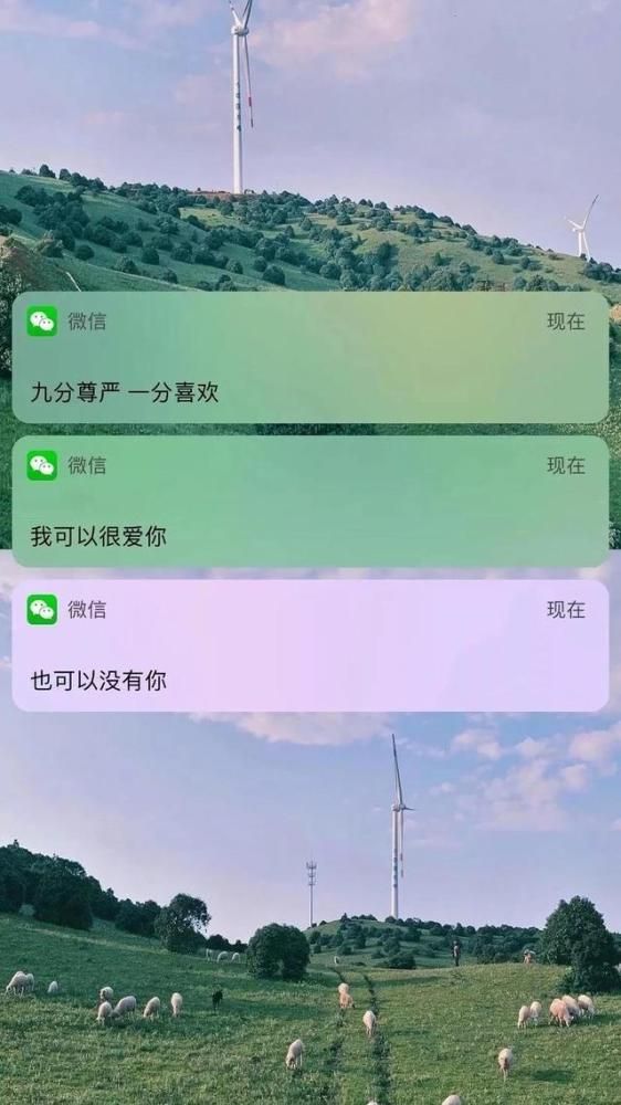 别人很爱你没错别人也是要尊严的的简单介绍