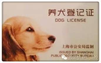狗证要在哪办(没狗证会上家里抓狗吗)