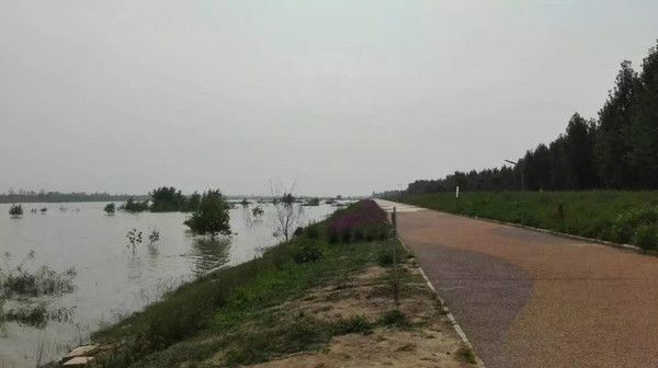 杨凌湿地公园在哪里(西安渭河湿地公园在哪里)