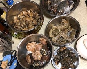海鲜视频大全中文(最新吃播海鲜大全视频)
