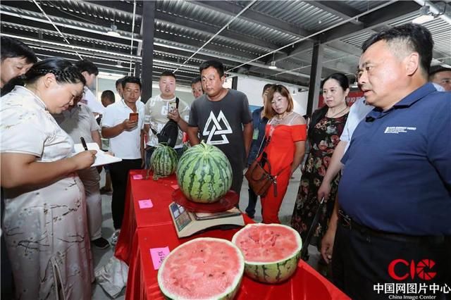 县城卖甜瓜视频(卖甜瓜的录音叫卖)