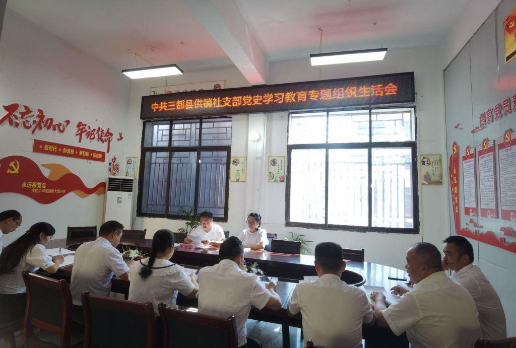 关于党史专题组织生活会会议主题的信息