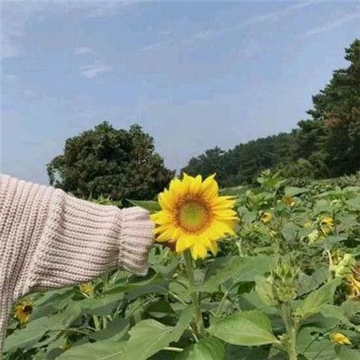 最新威信头像(2020励志微信头像图片)