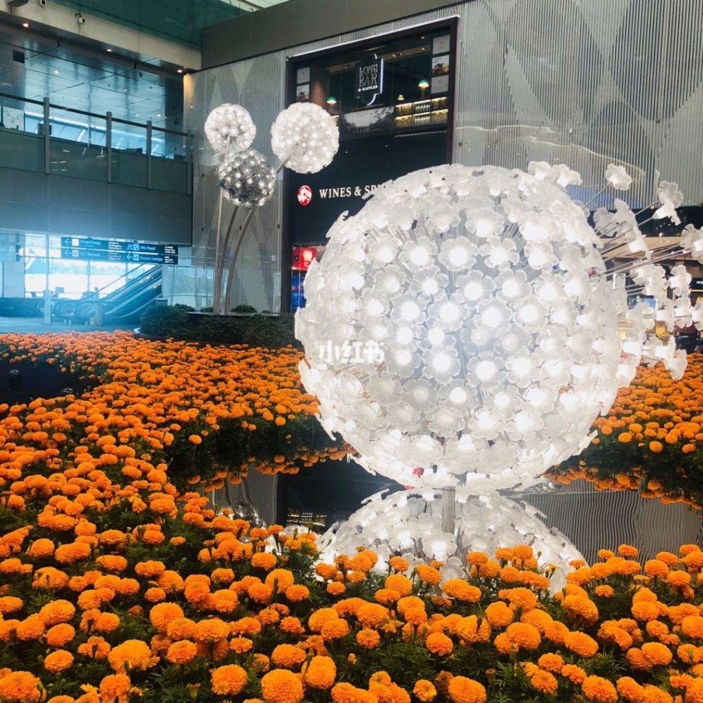 樟宜机场亚坤在哪里(樟宜机场t2航站楼图片)