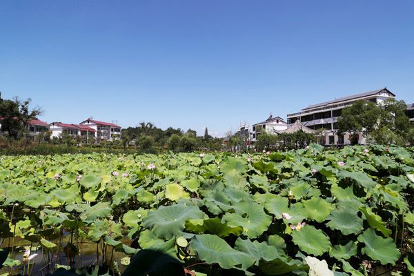 上源驿在哪里(上源驿背后的疑问)