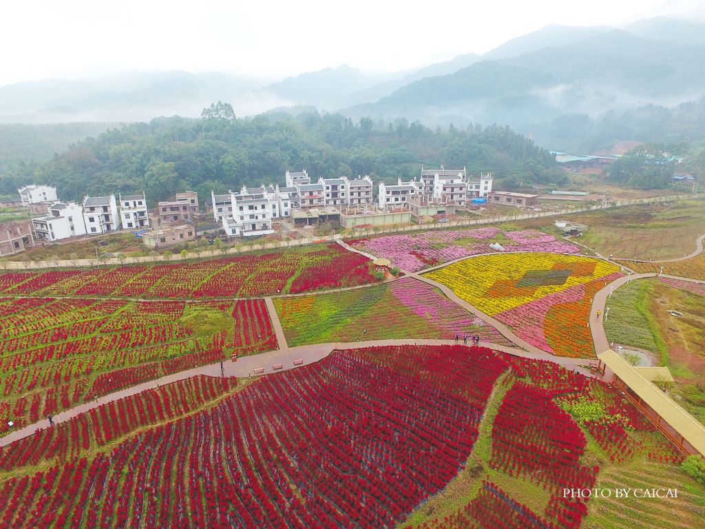 黄姚花海在哪里(贺州黄姚古镇图片)