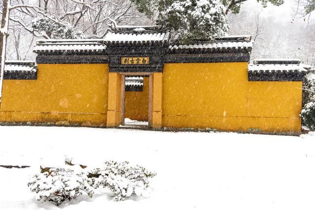 大林寺在哪(大林寺在哪个山)