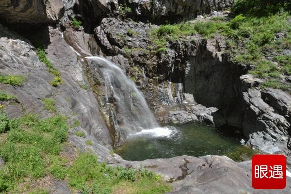 河南原始森林在哪里(世界上最大的原始森林在哪里)