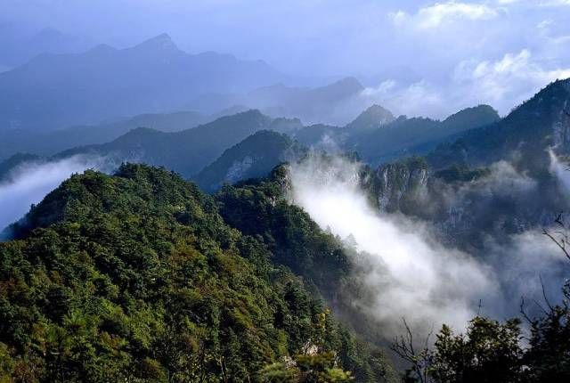 河南原始森林在哪里(世界上最大的原始森林在哪里)