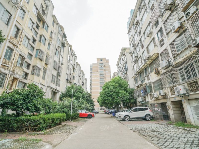 苏州市劳动路在哪个区(苏州市劳动路599号在哪个区)