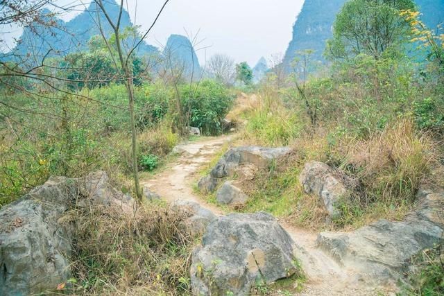 坡在哪里(西柏坡在哪里)