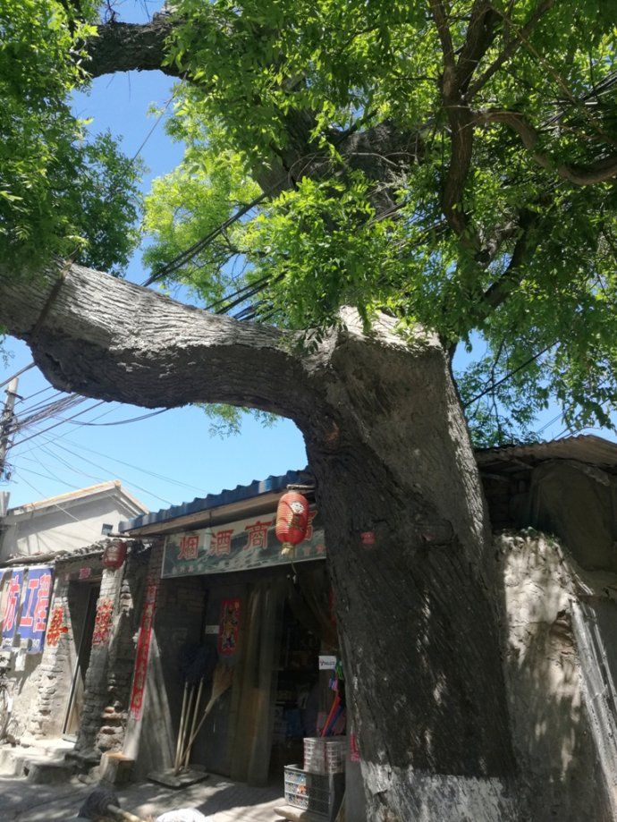琉璃村在哪(禹州市琉璃沟村)