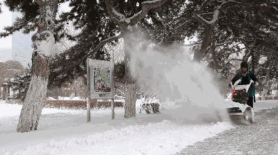 辽宁大雪在哪(辽宁大学在哪个省)